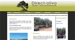 Desktop Screenshot of grossiste-olivier.com